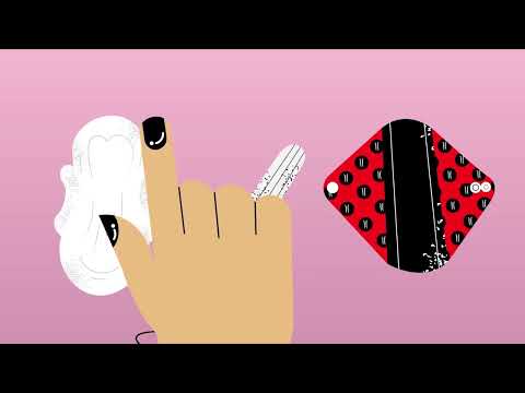  Primary school animation