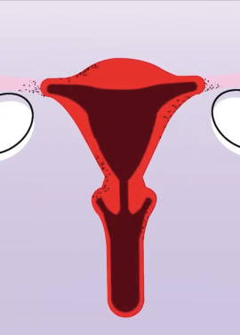 education illustration