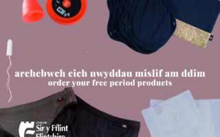 Flintshire and Hey Girls